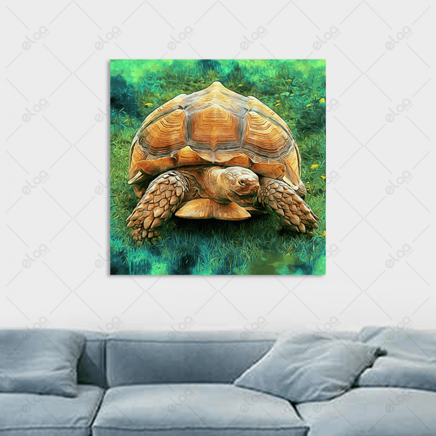Abstract art painting of the turtle