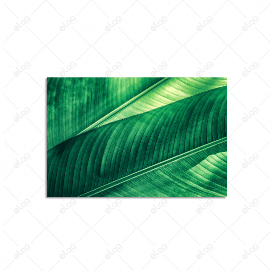 Tropical banana leaf artwork