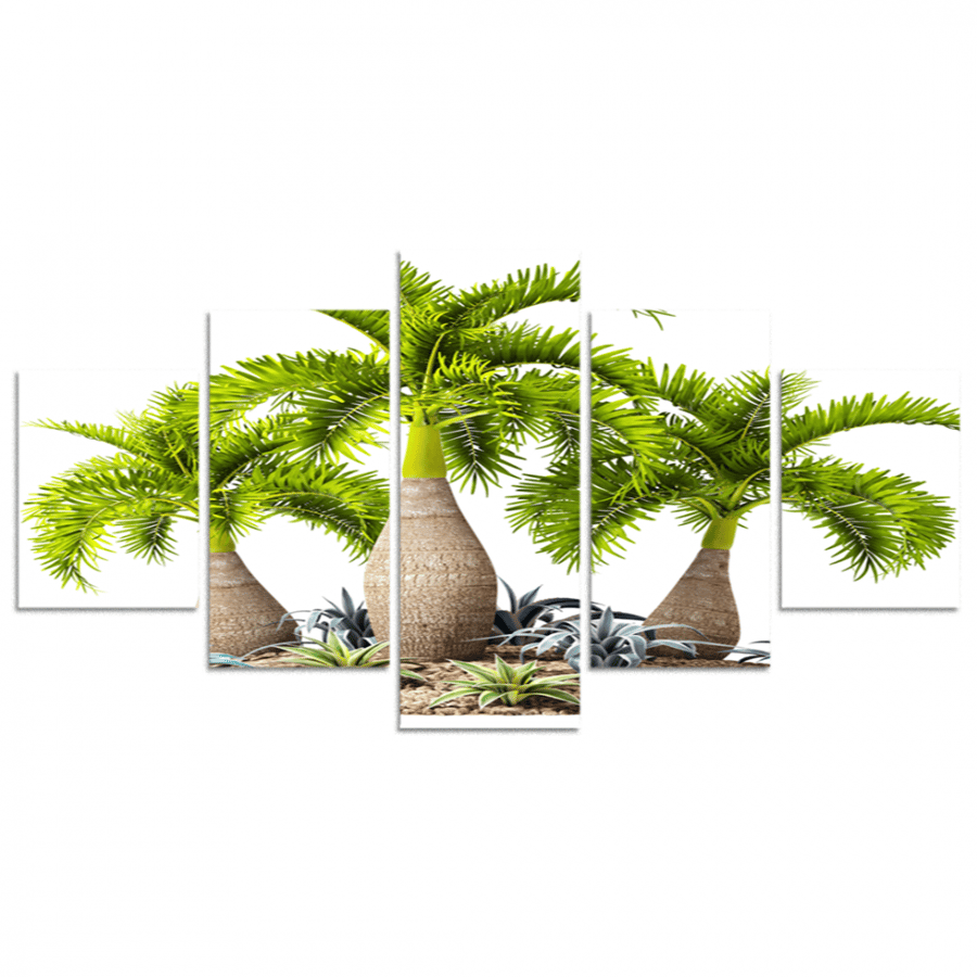 Set of 5 divided plates #G56911