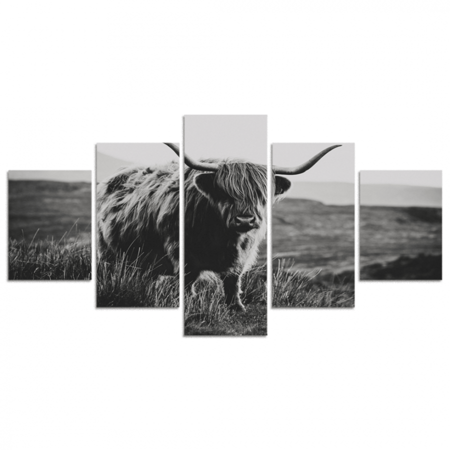 Set of 5 divided panels #G533