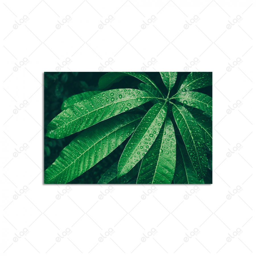 A artistic painting of a water drop on mango leaves
