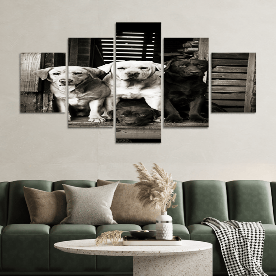 Set of 5 divided plates #G5419