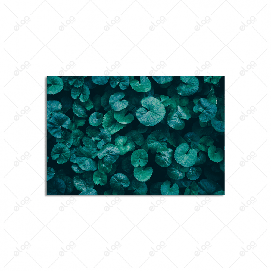 Tropical plant leaf artwork