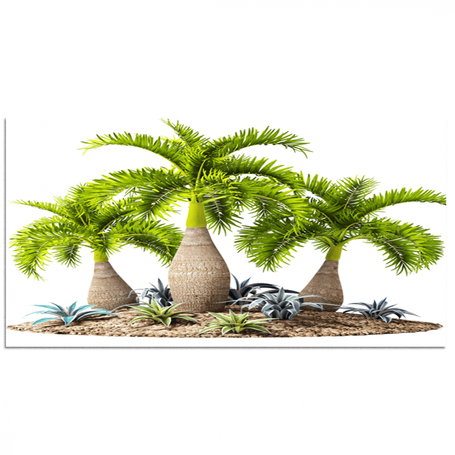 Set of 5 divided plates #G56911