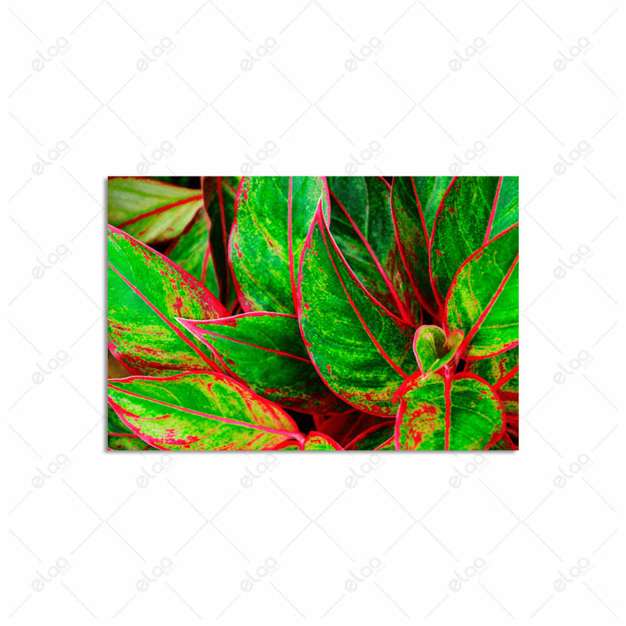A artistic painting of the lush green leaves