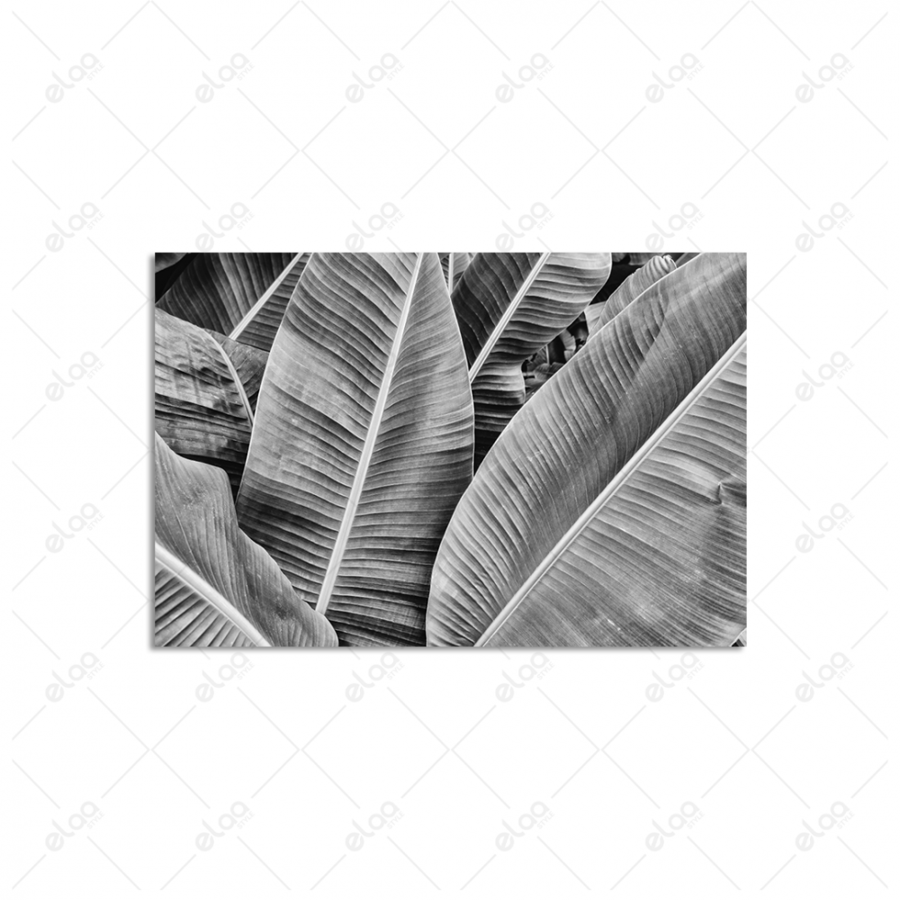 Tropical banana leaf artwork