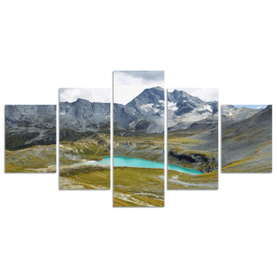 Set of 5 divided panels #G5228