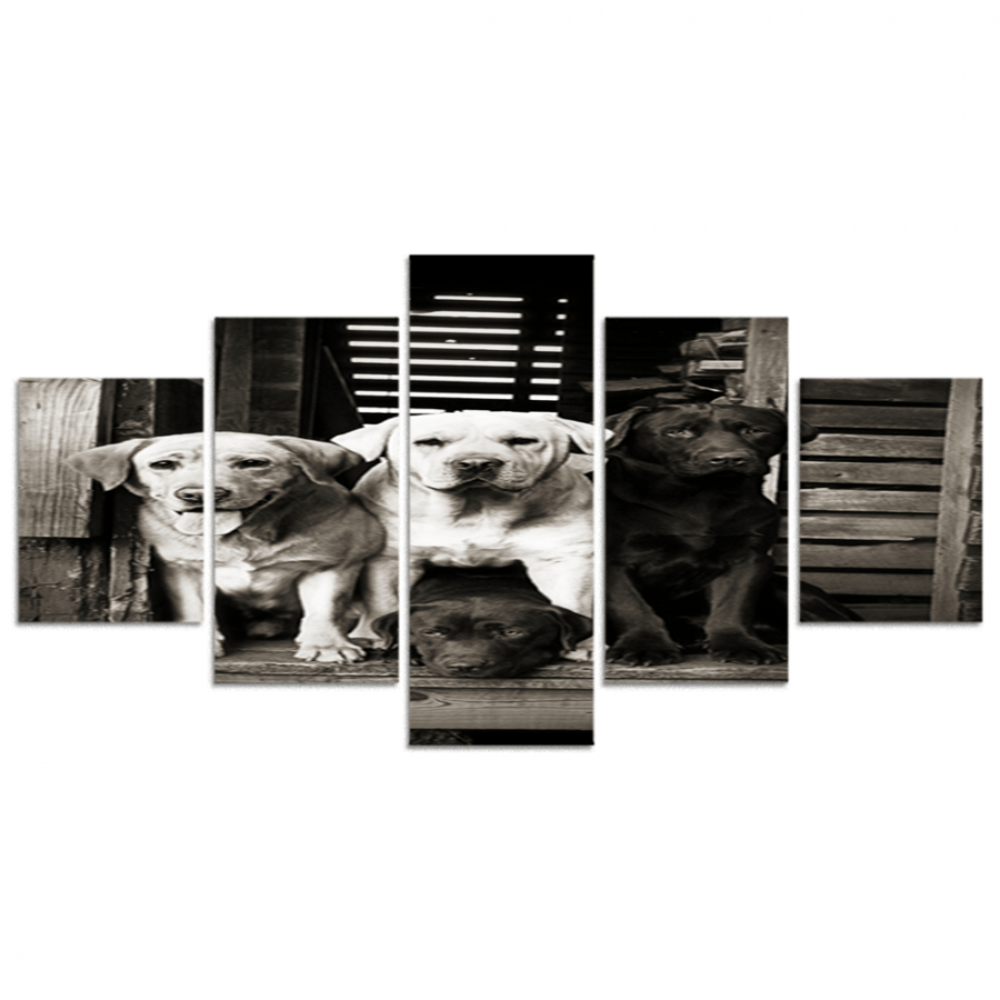 Set of 5 divided plates #G5419
