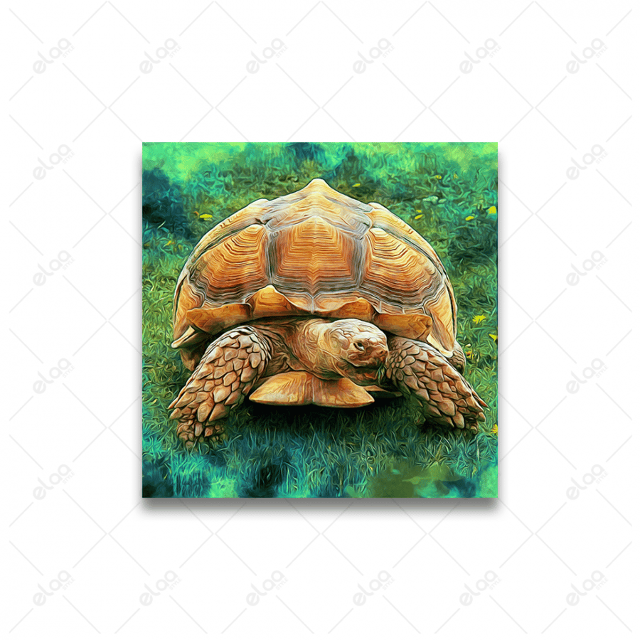 Abstract art painting of the turtle