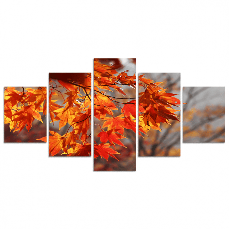 Set of 5 divided plates #G5839