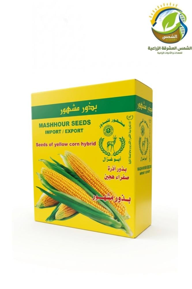 بذور حبش اصفر هجين