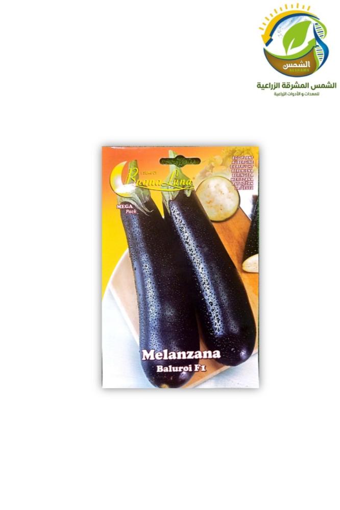 بذور بذنجان باكيت ايطالي