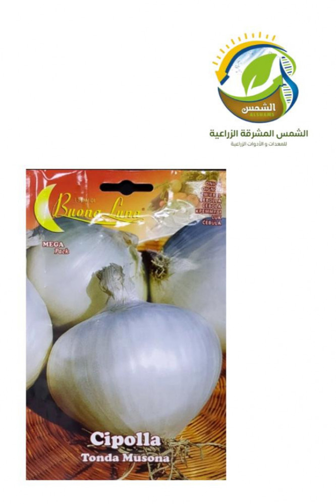 بصل ابيض باكيت 4 غرام