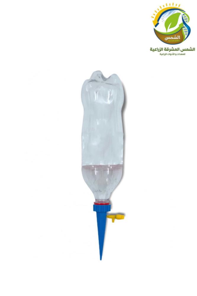 منقط قاروره