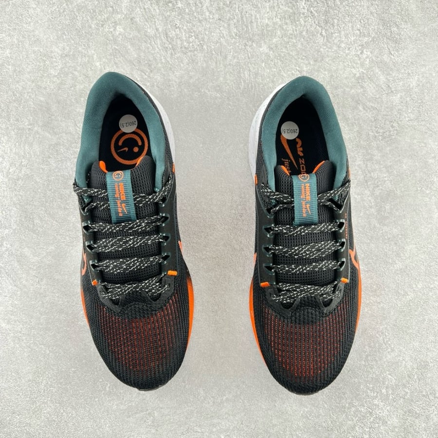 Nike Pegasus 40 Shoes