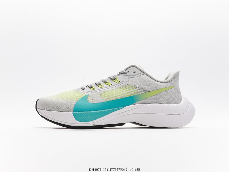 ‏Nike Zoom Pegasus