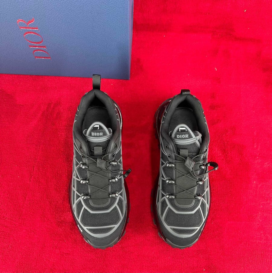 Dior b31 runner