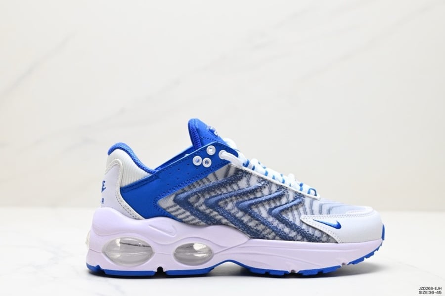 Nike Air Max TW