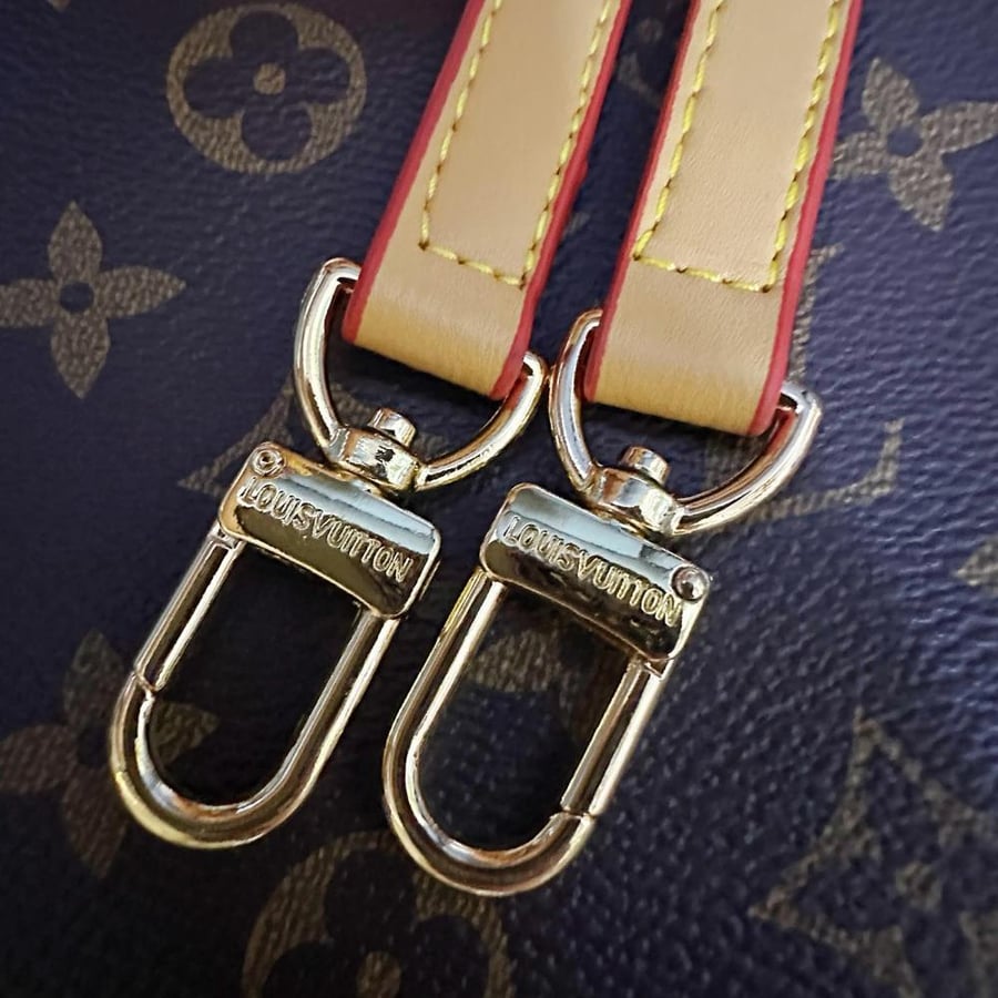 Louis Vuitton Loop Monogram Bag