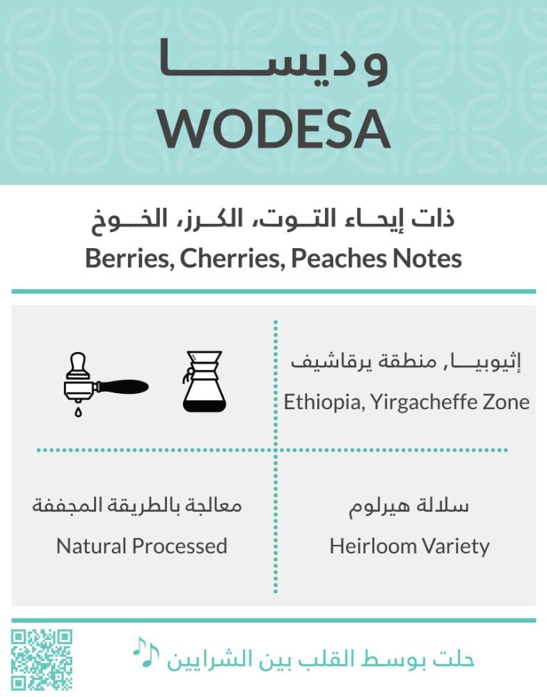 كفة - وديسا
