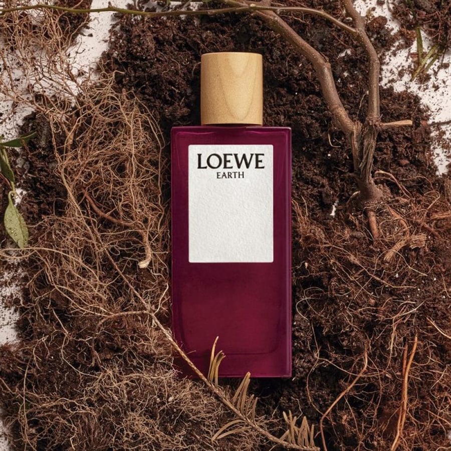 عطر لويفي ايرث او دو بارفيوم 100مل Loewe Earth