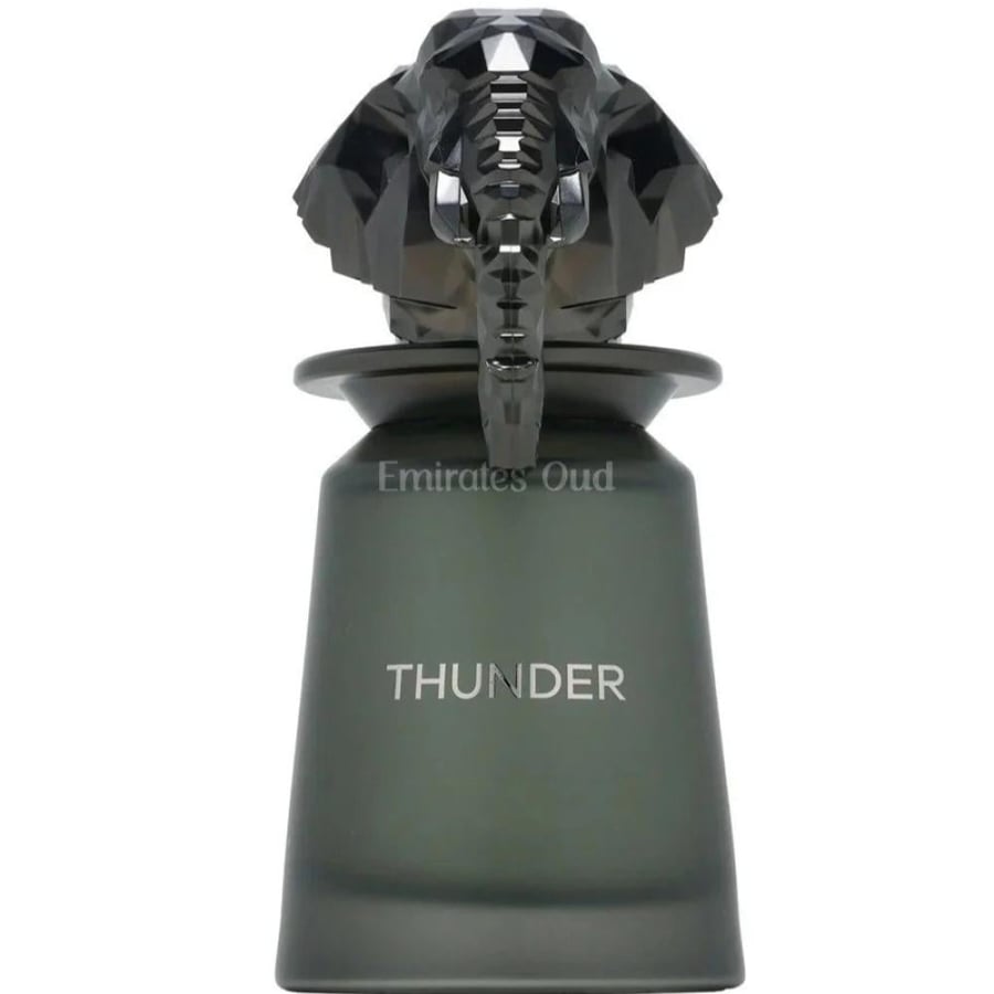 عطر فرينش افينيو ثندر او دو بارفيوم 100مل French Avenue Thunder