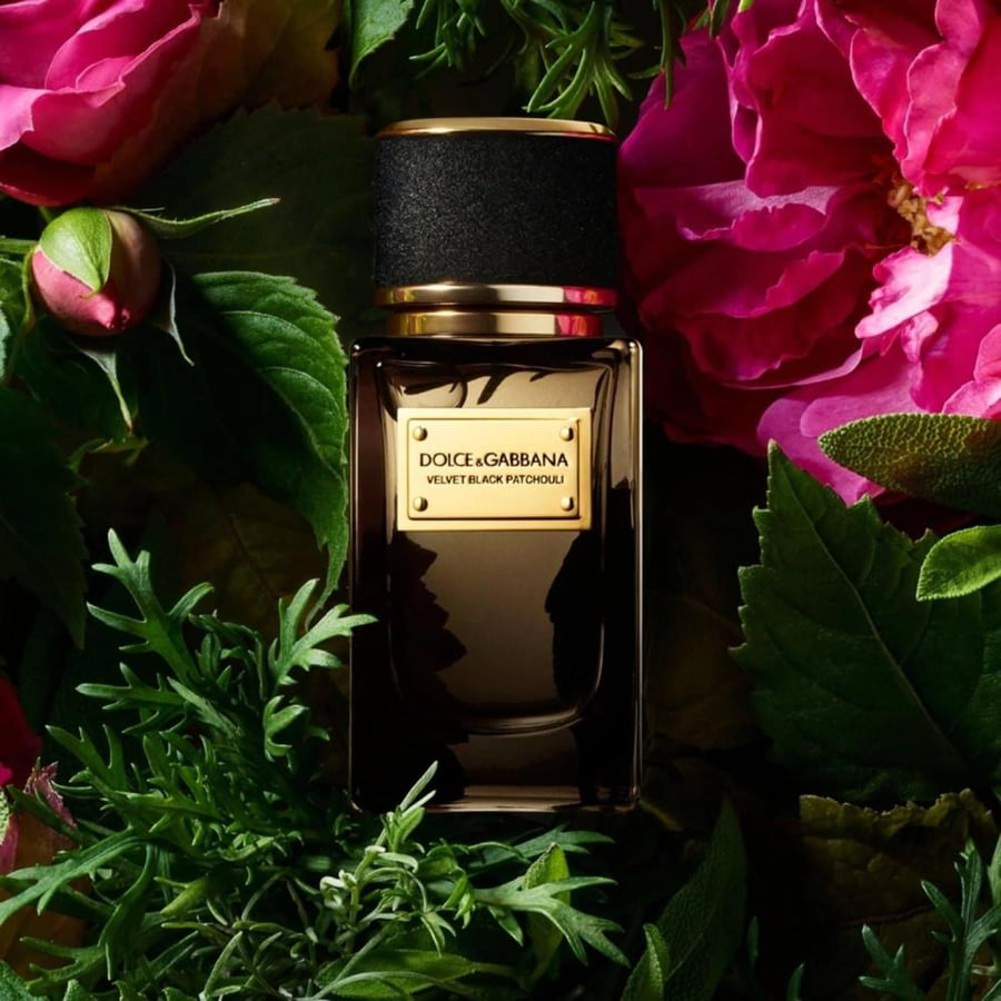 عطر دولتشي اند غابانا فيلفت بلاك باتشولي او دو بارفيوم 100مل Dolce Gab