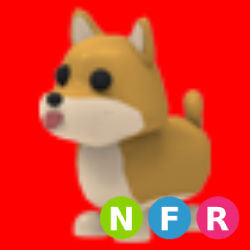 NFR Shiba Inu