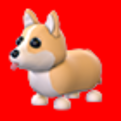 Corgi