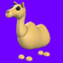 Camel