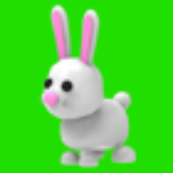 Bunny