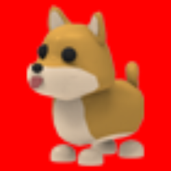 Shiba Inu