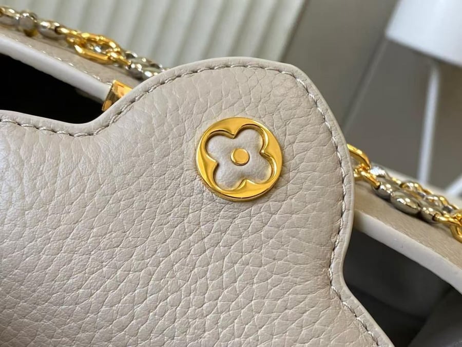 لوي فيتون CAPUCINES مقاس 22cm