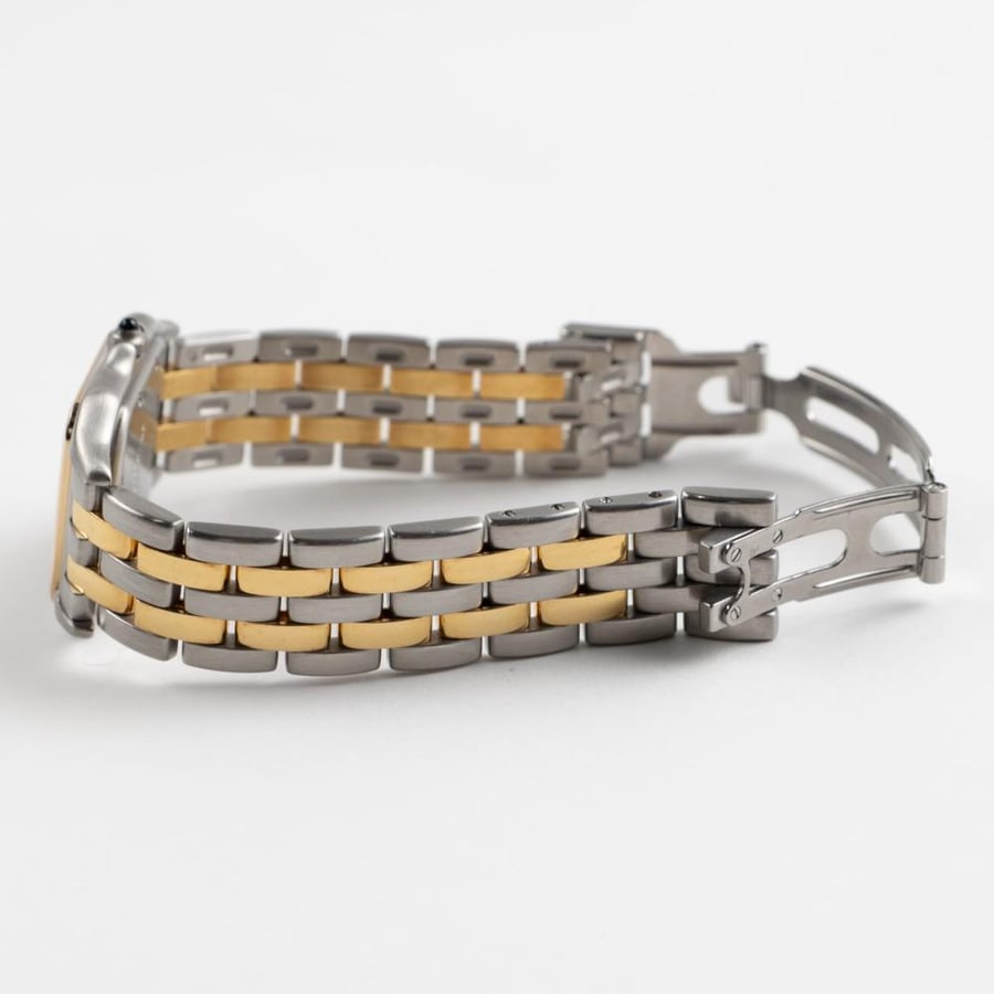 كارتييه بانثير W250285E