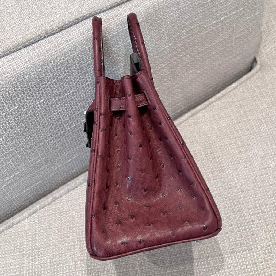 ايرميز Birkin مقاس 25cm