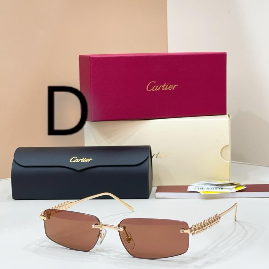 Cartier - CT0544S