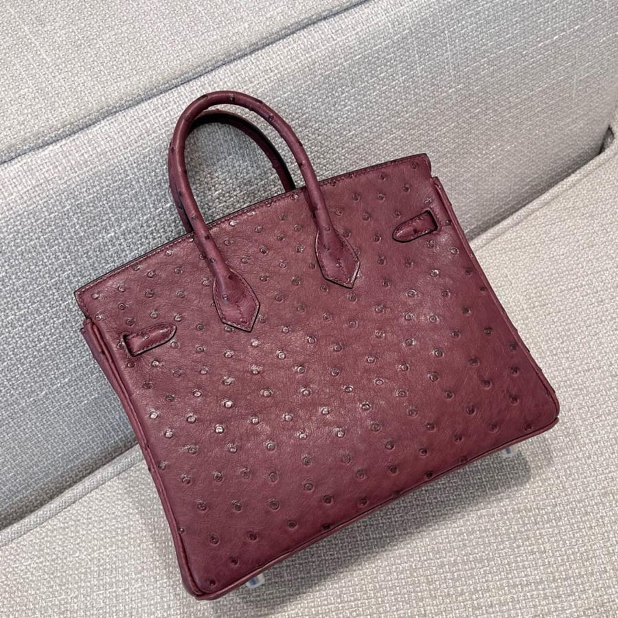 ايرميز Birkin مقاس 25cm