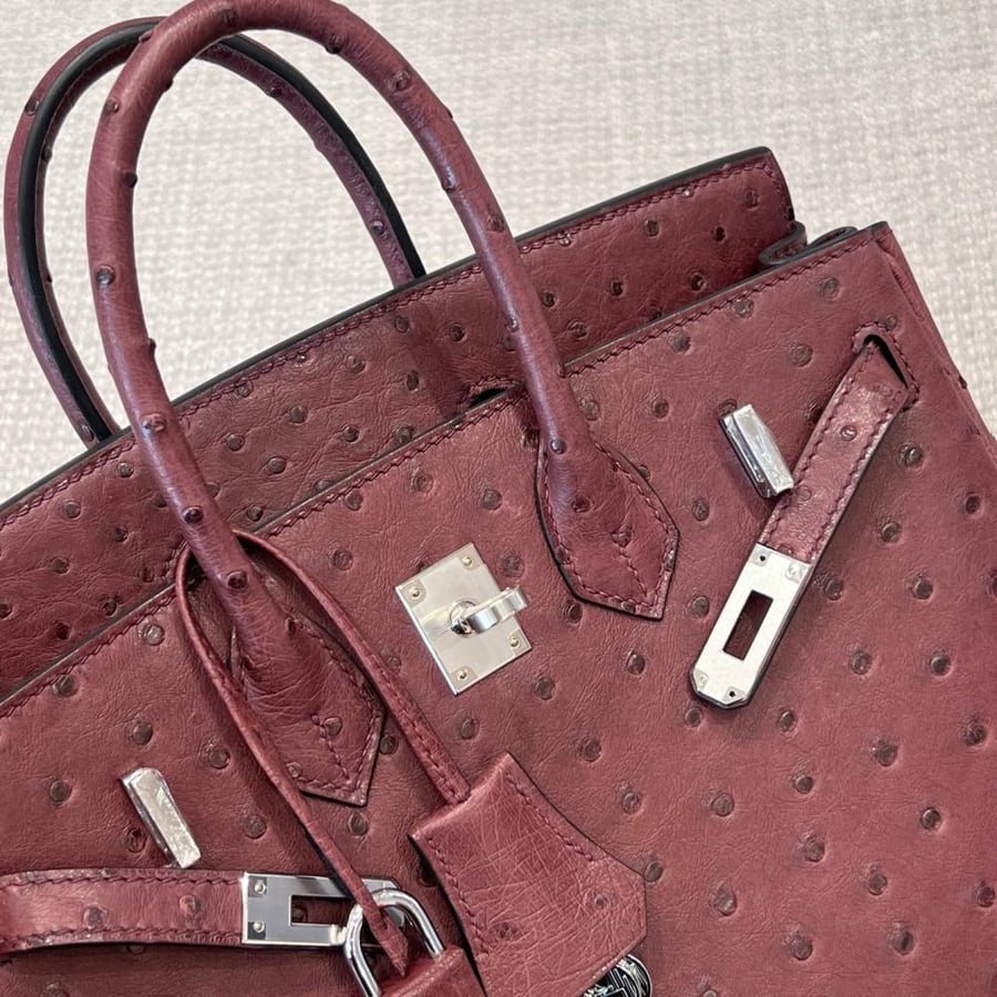 ايرميز Birkin مقاس 25cm