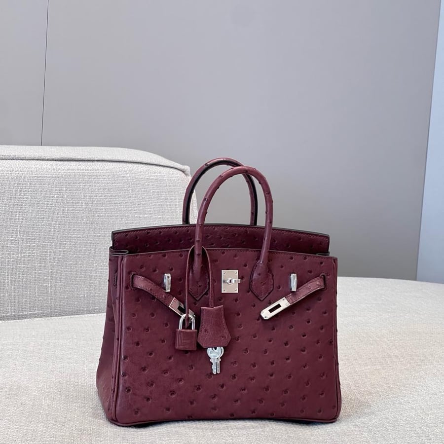 ايرميز Birkin مقاس 25cm