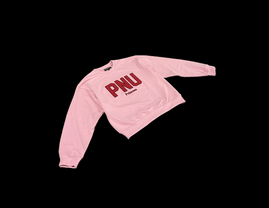 PNU Sweater
