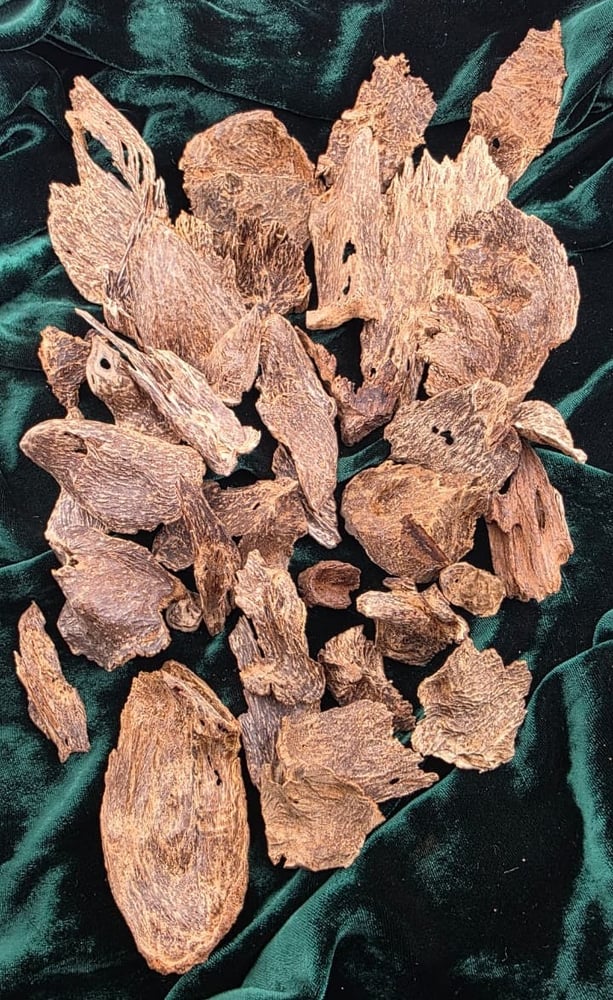 سيلاني آدمز فاخر