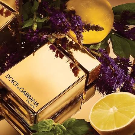 عطر ذا ون قولد من دولتشي جابانا للرجال او دو بارفيوم انتنس 100 مل