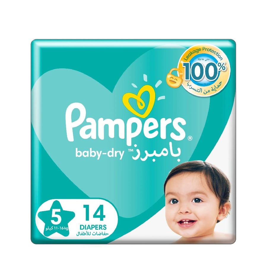 بامبرزشد 6 رقم5