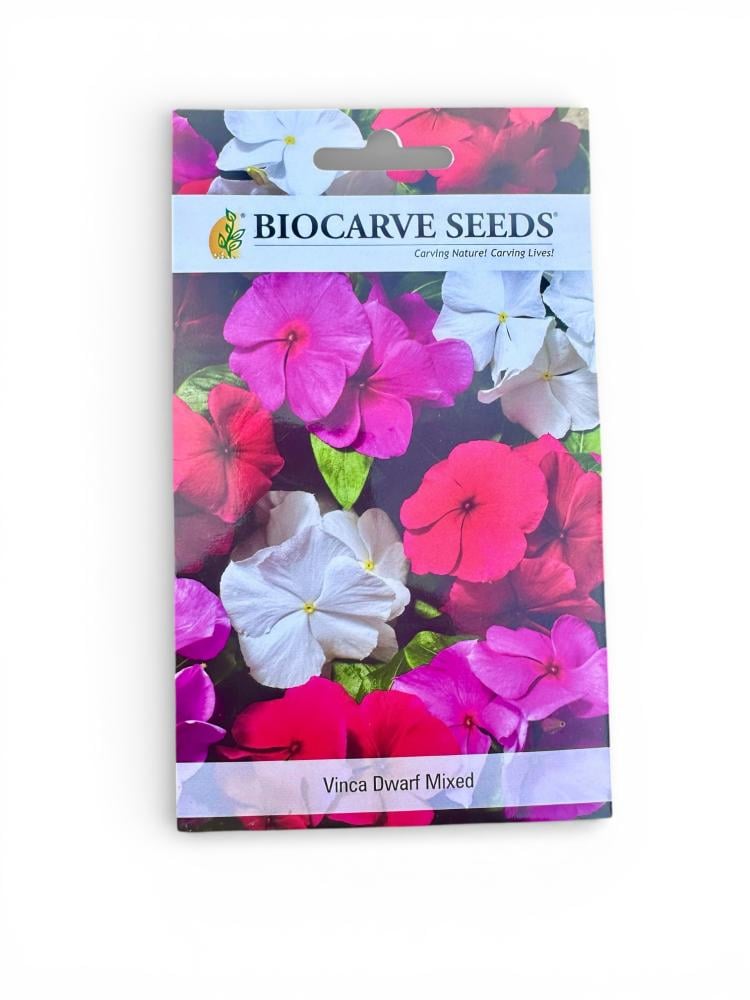 Vinca dwarf seeds mix
