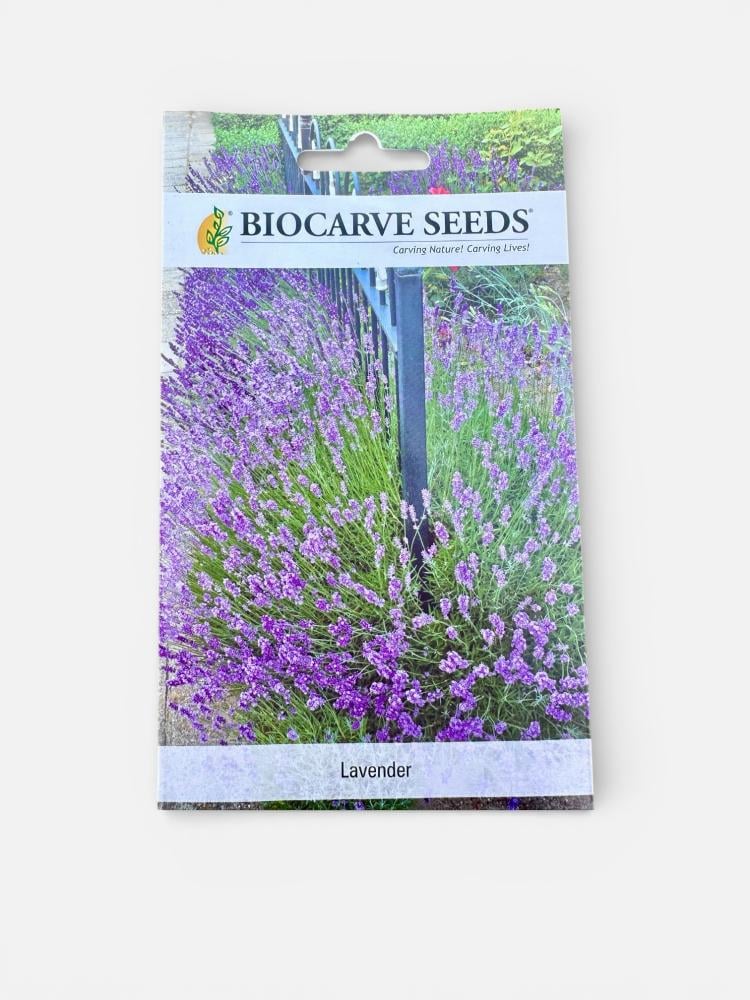 بذور لافندر | Lavender Seeds