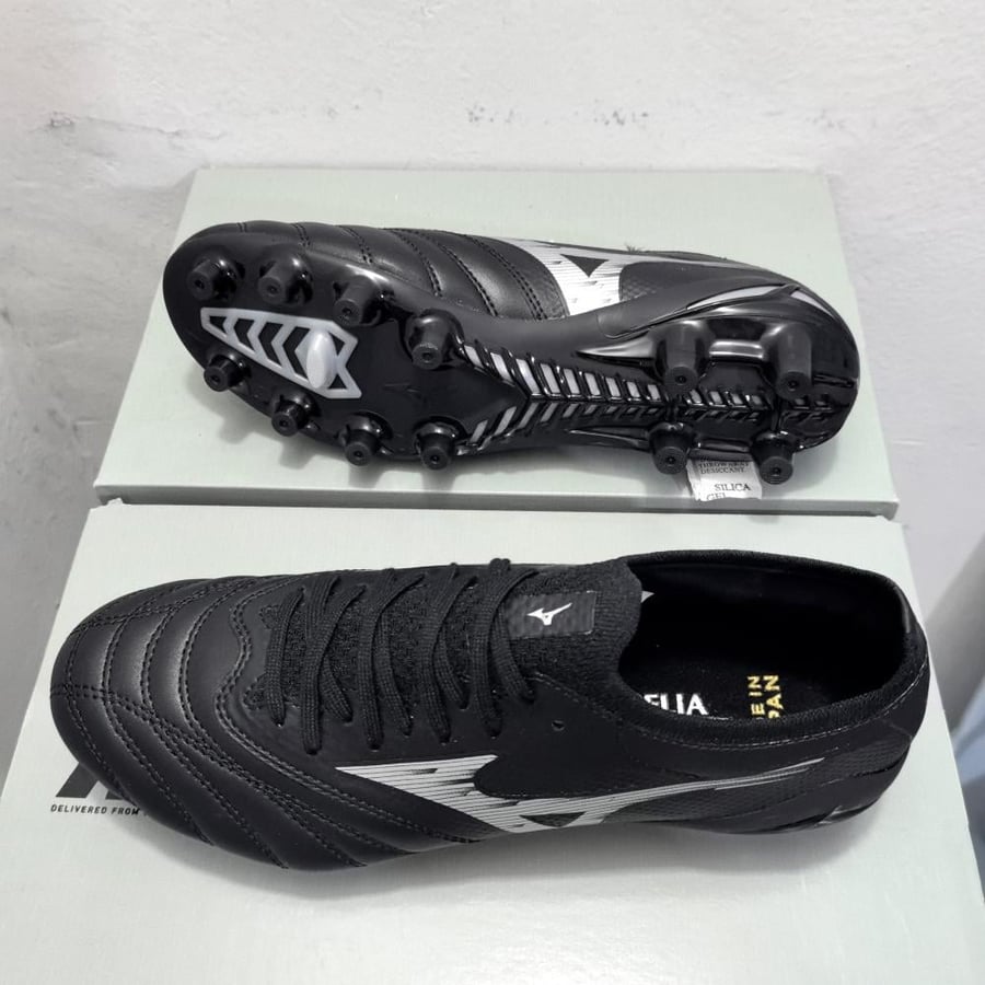 Mizuno Morelia