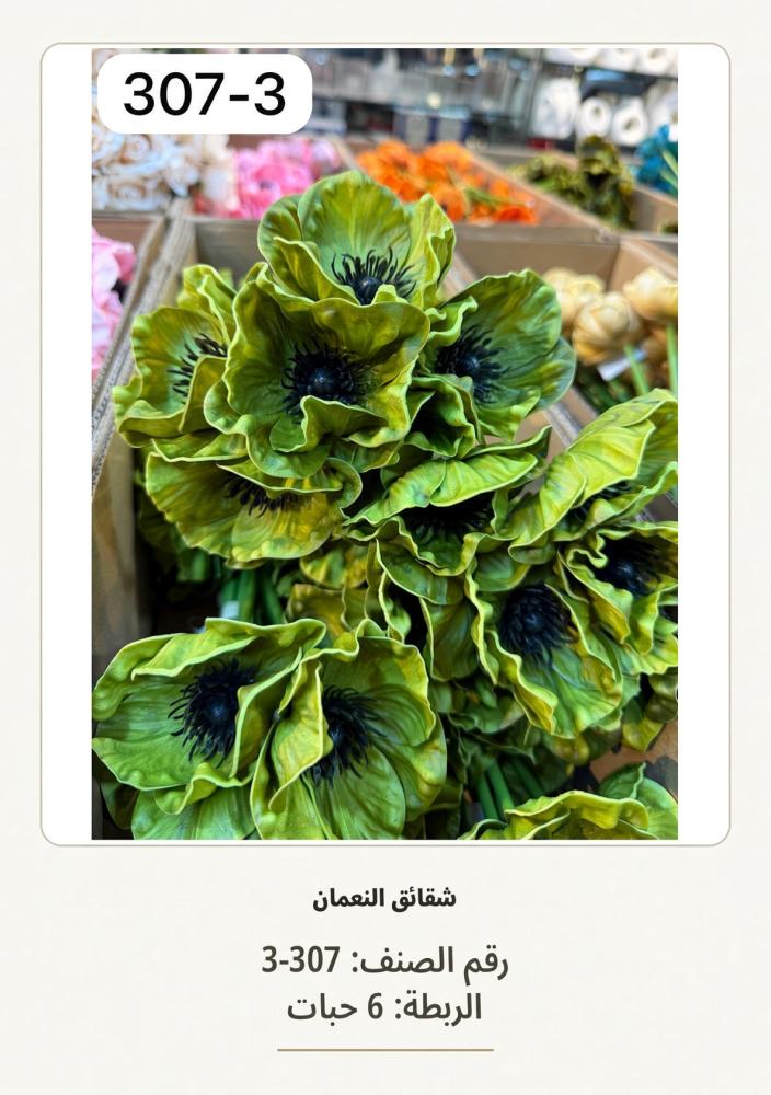 شقائق النعمان 6غصن اخضر