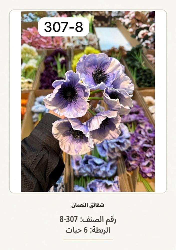 شقائق النعمان 6غصن  سوسني