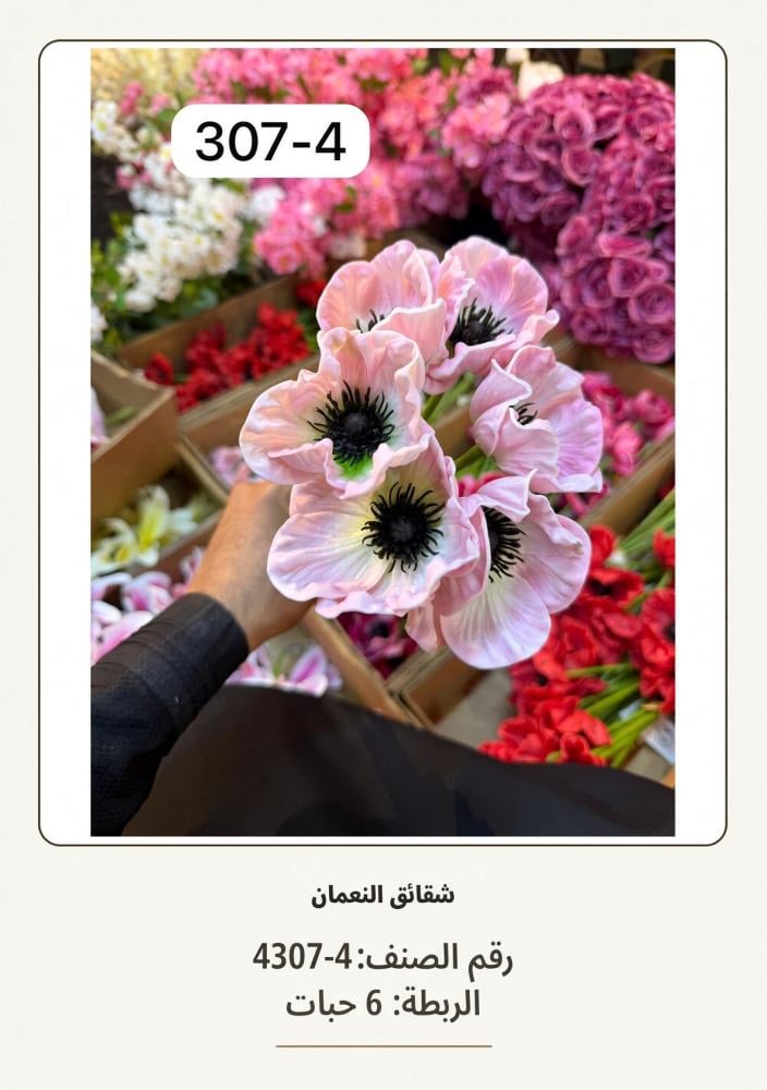 شقائق النعمان 6غصن  وردي فاتح