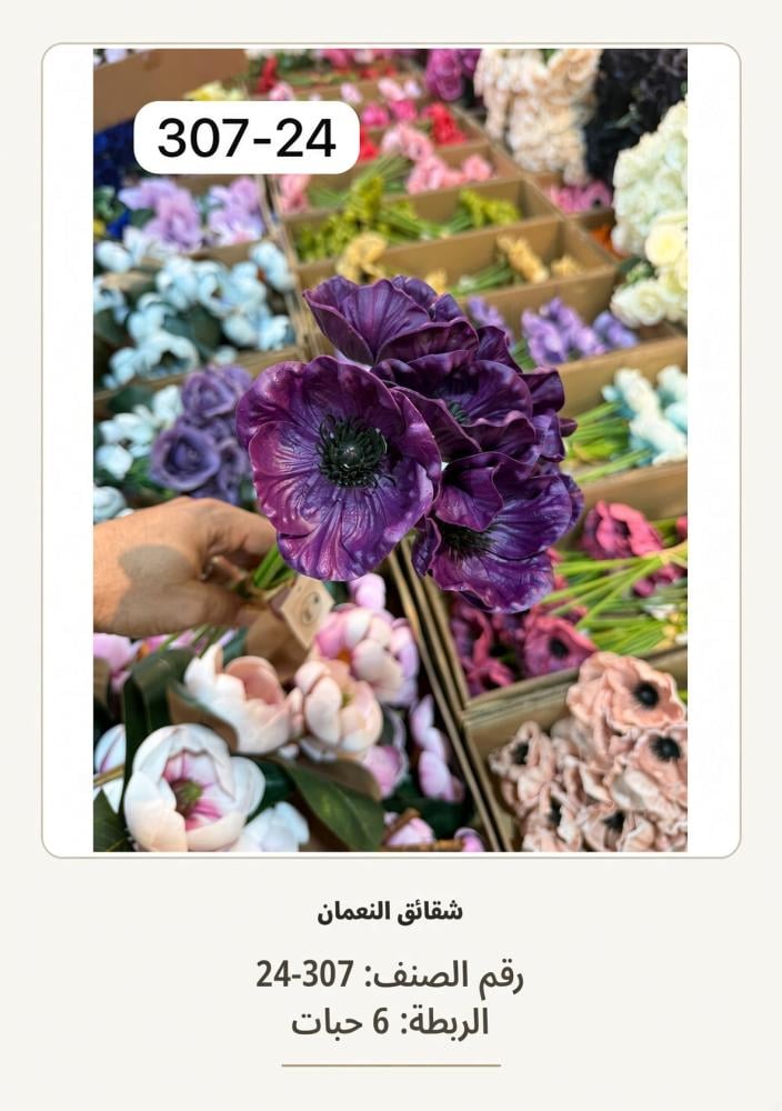 شقائق النعمان 6غصن  بنفسجي غامق
